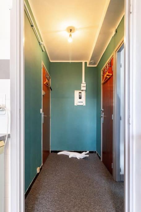 Double Appartement, Saint Michel, Parking, Wifi Toulouse Exterior photo
